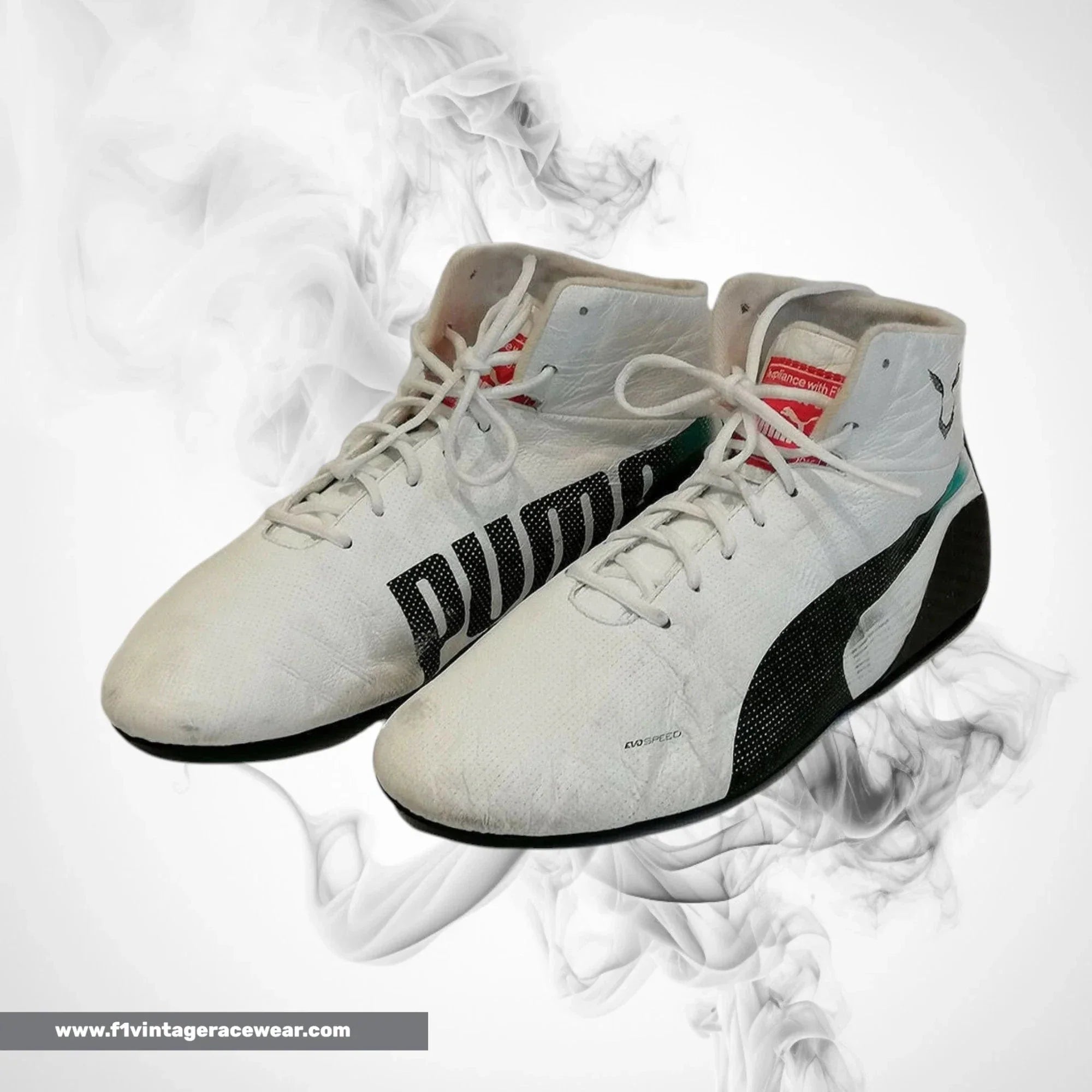 2019 Lewis Hamilton Mercedes Benz F1 Racing Shoes